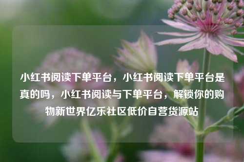 小红书阅读下单平台，小红书阅读下单平台是真的吗，小红书阅读与下单平台	，解锁你的购物新世界亿乐社区低价自营货源站  第1张