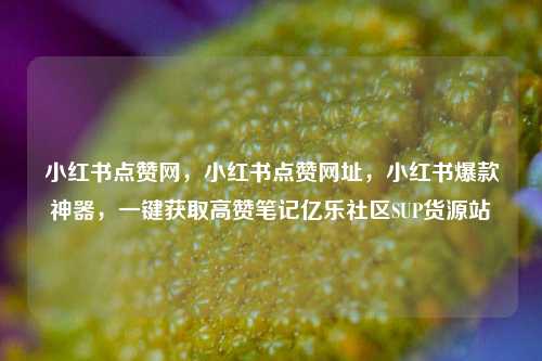 小红书点赞网，小红书点赞网址	，小红书爆款神器，一键获取高赞笔记亿乐社区SUP货源站  第1张