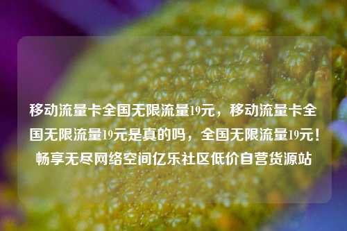 移动流量卡全国无限流量19元	，移动流量卡全国无限流量19元是真的吗，全国无限流量19元！畅享无尽网络空间亿乐社区低价自营货源站  第1张