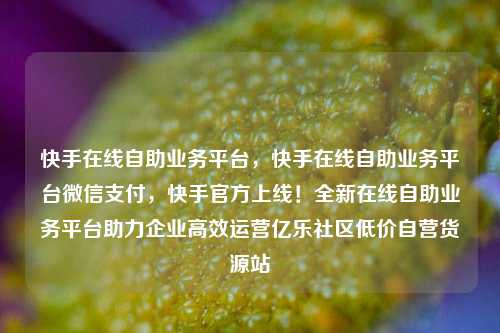 快手在线自助业务平台，快手在线自助业务平台微信支付，快手官方上线！全新在线自助业务平台助力企业高效运营亿乐社区低价自营货源站  第1张