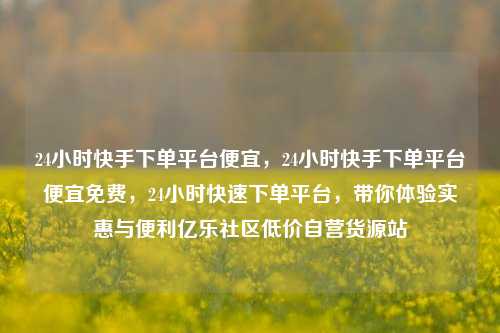 24小时快手下单平台便宜，24小时快手下单平台便宜免费	，24小时快速下单平台，带你体验实惠与便利亿乐社区低价自营货源站  第1张
