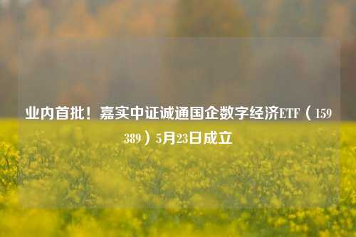 业内首批！嘉实中证诚通国企数字经济ETF（159389）5月23日成立  第1张