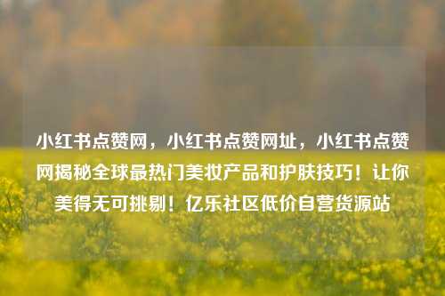 小红书点赞网	，小红书点赞网址，小红书点赞网揭秘全球最热门美妆产品和护肤技巧！让你美得无可挑剔！亿乐社区低价自营货源站  第1张