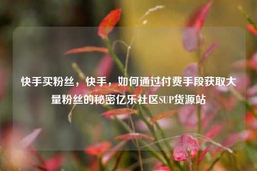 快手买粉丝	，快手，如何通过付费手段获取大量粉丝的秘密亿乐社区SUP货源站  第1张