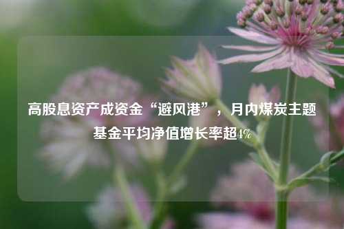 高股息资产成资金“避风港”	，月内煤炭主题基金平均净值增长率超4%  第1张