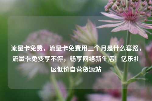 流量卡免费，流量卡免费用三个月是什么套路	，流量卡免费享不停，畅享网络新生活！亿乐社区低价自营货源站  第1张