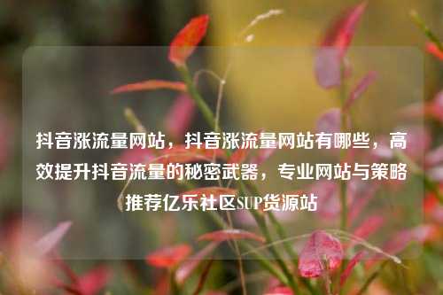 抖音涨流量网站	，抖音涨流量网站有哪些，高效提升抖音流量的秘密武器，专业网站与策略推荐亿乐社区SUP货源站  第1张