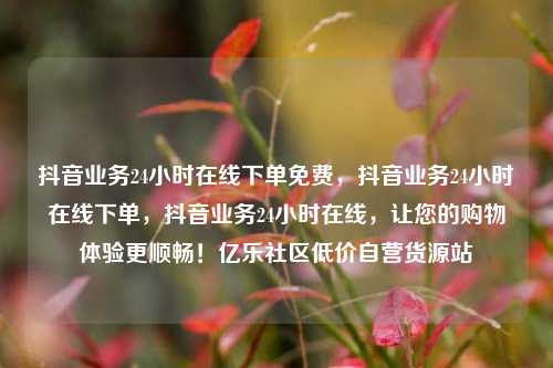 抖音业务24小时在线下单免费，抖音业务24小时在线下单，抖音业务24小时在线，让您的购物体验更顺畅！亿乐社区低价自营货源站  第1张