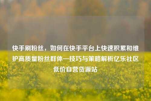 快手刷粉丝，如何在快手平台上快速积累和维护高质量粉丝群体—技巧与策略解析亿乐社区低价自营货源站  第1张