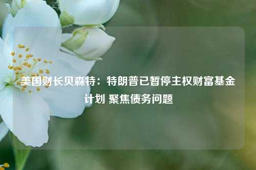美国财长贝森特：特朗普已暂停主权财富基金计划 聚焦债务问题  第1张