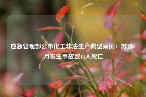 应急管理部公布化工非法生产典型案例：苏豫3月发生事故致14人死亡  第1张
