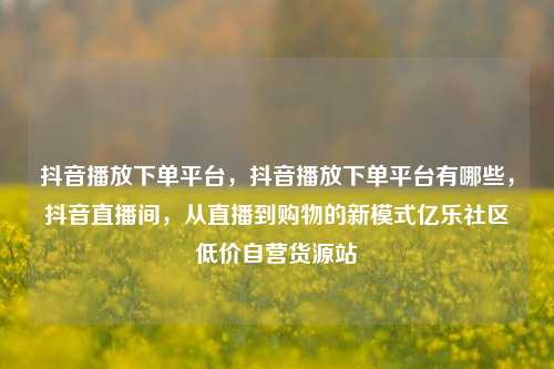 抖音播放下单平台	，抖音播放下单平台有哪些，抖音直播间，从直播到购物的新模式亿乐社区低价自营货源站  第1张