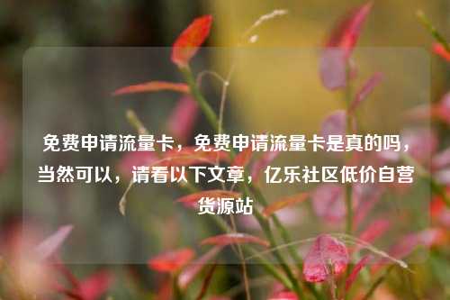 免费申请流量卡，免费申请流量卡是真的吗，当然可以，请看以下文章	，亿乐社区低价自营货源站  第1张