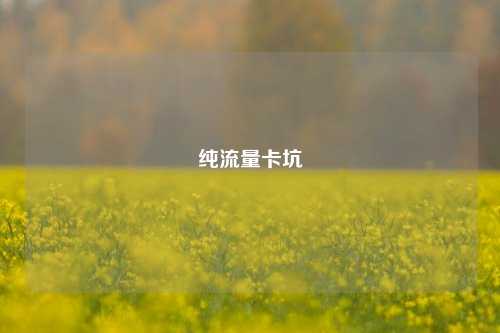 纯流量卡坑  第1张