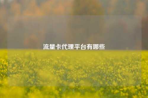 流量卡代理平台有哪些  第1张