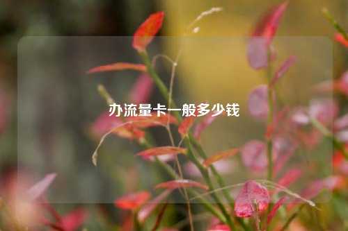 办流量卡一般多少钱  第1张