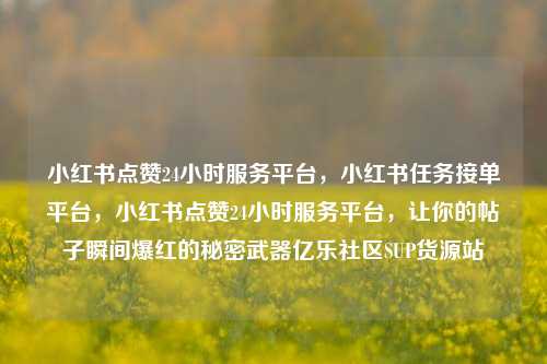 小红书点赞24小时服务平台，小红书任务接单平台	，小红书点赞24小时服务平台，让你的帖子瞬间爆红的秘密武器亿乐社区SUP货源站  第1张