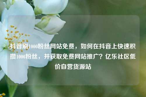 抖音刷1000粉丝网站免费	，如何在抖音上快速积攒1000粉丝，并获取免费网站推广？亿乐社区低价自营货源站  第1张
