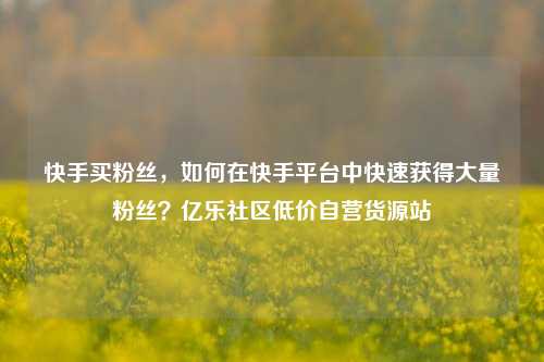 快手买粉丝，如何在快手平台中快速获得大量粉丝？亿乐社区低价自营货源站  第1张