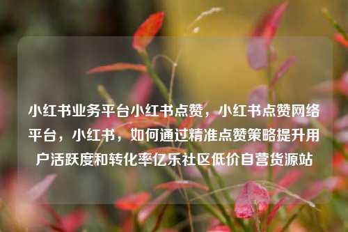 小红书业务平台小红书点赞	，小红书点赞网络平台，小红书，如何通过精准点赞策略提升用户活跃度和转化率亿乐社区低价自营货源站  第1张
