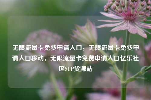 无限流量卡免费申请入口，无限流量卡免费申请入口移动，无限流量卡免费申请入口亿乐社区SUP货源站  第1张