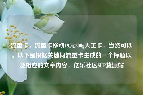 流量卡	，流量卡移动19元200g大王卡，当然可以。以下是根据关键词流量卡生成的一个标题以及相应的文章内容，亿乐社区SUP货源站  第1张