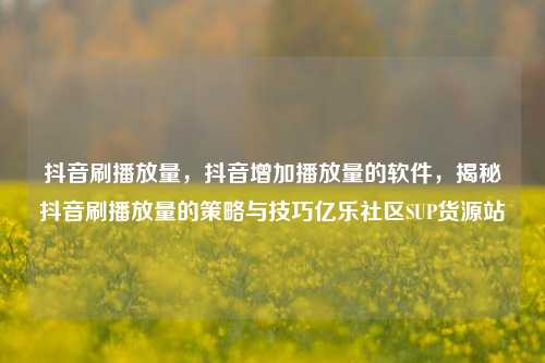 抖音刷播放量，抖音增加播放量的软件，揭秘抖音刷播放量的策略与技巧亿乐社区SUP货源站  第1张