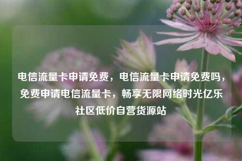 电信流量卡申请免费，电信流量卡申请免费吗，免费申请电信流量卡，畅享无限网络时光亿乐社区低价自营货源站  第1张
