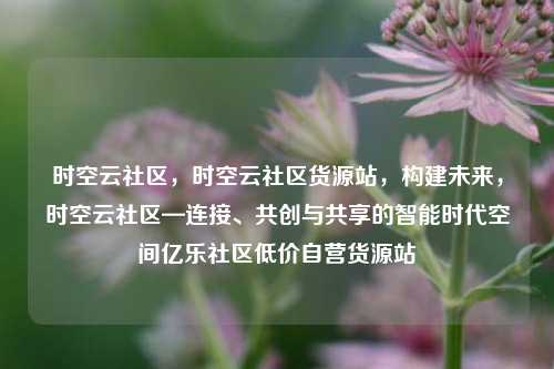 时空云社区	，时空云社区货源站，构建未来，时空云社区—连接、共创与共享的智能时代空间亿乐社区低价自营货源站  第1张