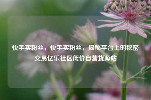 快手买粉丝	，快手买粉丝，揭秘平台上的秘密交易亿乐社区低价自营货源站  第1张