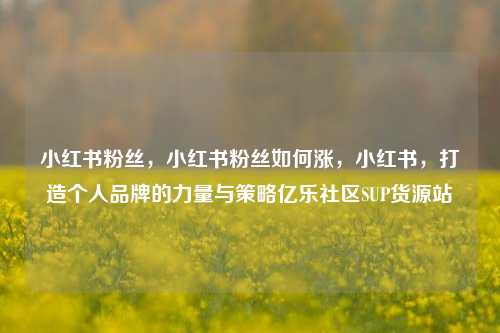 小红书粉丝，小红书粉丝如何涨，小红书	，打造个人品牌的力量与策略亿乐社区SUP货源站  第1张