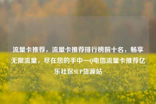 流量卡推荐	，流量卡推荐排行榜前十名，畅享无限流量，尽在您的手中—Q电信流量卡推荐亿乐社区SUP货源站  第1张