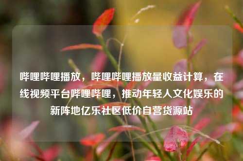 哔哩哔哩播放，哔哩哔哩播放量收益计算	，在线视频平台哔哩哔哩，推动年轻人文化娱乐的新阵地亿乐社区低价自营货源站  第1张