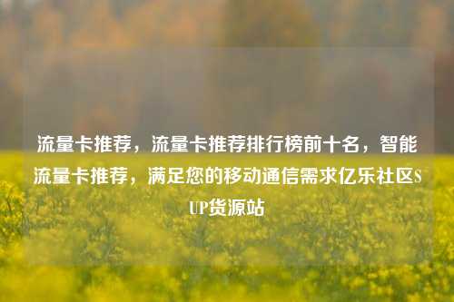 流量卡推荐	，流量卡推荐排行榜前十名，智能流量卡推荐，满足您的移动通信需求亿乐社区SUP货源站  第1张