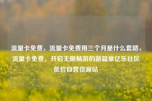 流量卡免费，流量卡免费用三个月是什么套路，流量卡免费	，开启无限畅游的新篇章亿乐社区低价自营货源站  第1张