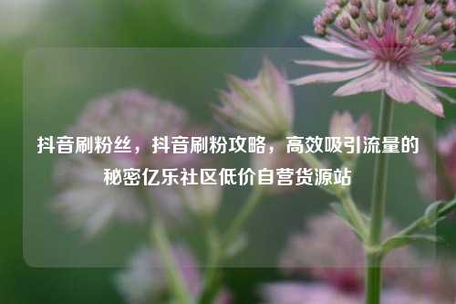 抖音刷粉丝	，抖音刷粉攻略，高效吸引流量的秘密亿乐社区低价自营货源站  第1张