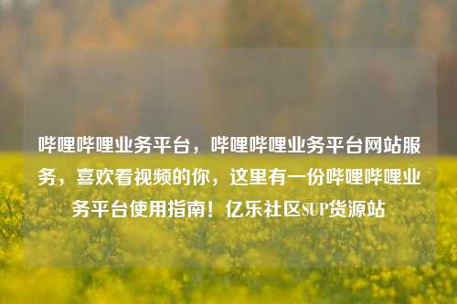 哔哩哔哩业务平台	，哔哩哔哩业务平台网站服务，喜欢看视频的你，这里有一份哔哩哔哩业务平台使用指南！亿乐社区SUP货源站  第1张