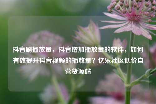 抖音刷播放量，抖音增加播放量的软件，如何有效提升抖音视频的播放量？亿乐社区低价自营货源站  第1张