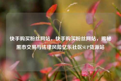 快手购买粉丝网站，快手购买粉丝网站，揭秘黑市交易与法律风险亿乐社区SUP货源站  第1张