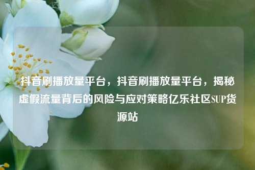 抖音刷播放量平台	，抖音刷播放量平台，揭秘虚假流量背后的风险与应对策略亿乐社区SUP货源站  第1张