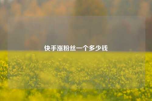 快手涨粉丝一个多少钱  第1张