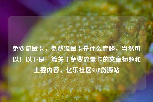 免费流量卡，免费流量卡是什么套路	，当然可以！以下是一篇关于免费流量卡的文章标题和主要内容，亿乐社区SUP货源站  第1张