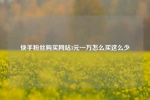 快手粉丝购买网站3元一万怎么买这么少  第1张