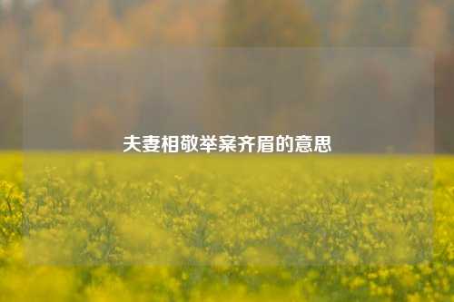 夫妻相敬举案齐眉的意思  第1张