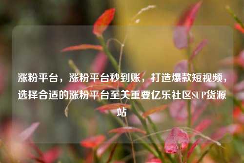 涨粉平台，涨粉平台秒到账	，打造爆款短视频，选择合适的涨粉平台至关重要亿乐社区SUP货源站  第1张