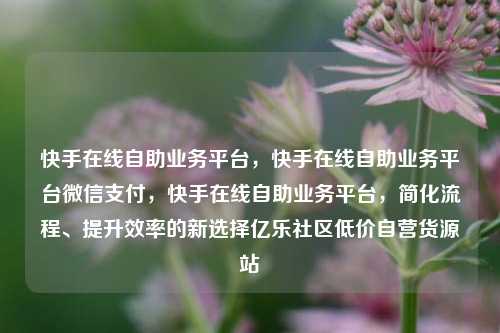 快手在线自助业务平台	，快手在线自助业务平台微信支付，快手在线自助业务平台，简化流程、提升效率的新选择亿乐社区低价自营货源站  第1张