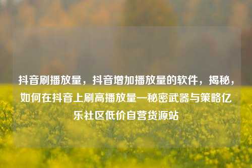 抖音刷播放量，抖音增加播放量的软件，揭秘	，如何在抖音上刷高播放量—秘密武器与策略亿乐社区低价自营货源站  第1张