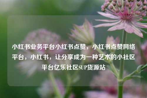 小红书业务平台小红书点赞	，小红书点赞网络平台，小红书，让分享成为一种艺术的小社区平台亿乐社区SUP货源站  第1张