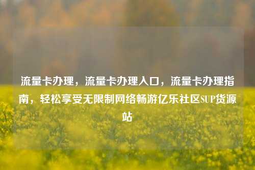流量卡办理，流量卡办理入口，流量卡办理指南	，轻松享受无限制网络畅游亿乐社区SUP货源站  第1张