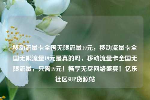 移动流量卡全国无限流量19元	，移动流量卡全国无限流量19元是真的吗，移动流量卡全国无限流量，只需19元！畅享无尽网络盛宴！亿乐社区SUP货源站  第1张